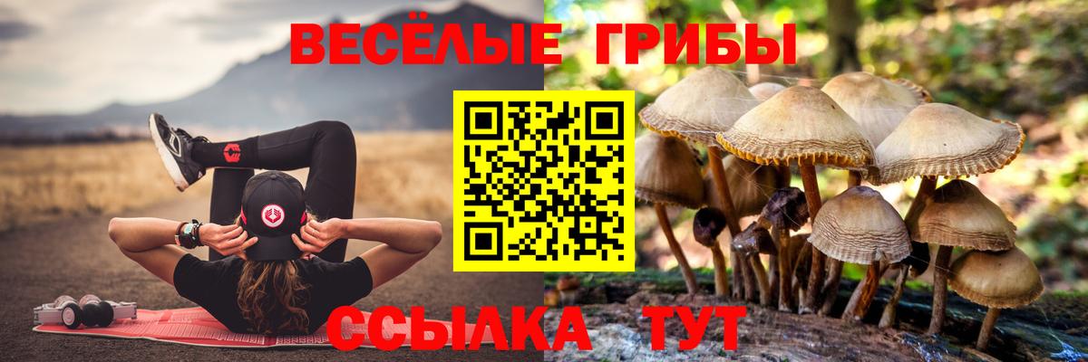 Екатеринбург  закладки  Вход с VPN  Галлюциногенные грибы прущие грибы 